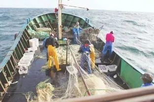 休渔期台州人真的没海鲜吃 别忘了,还有远洋捕捞呢