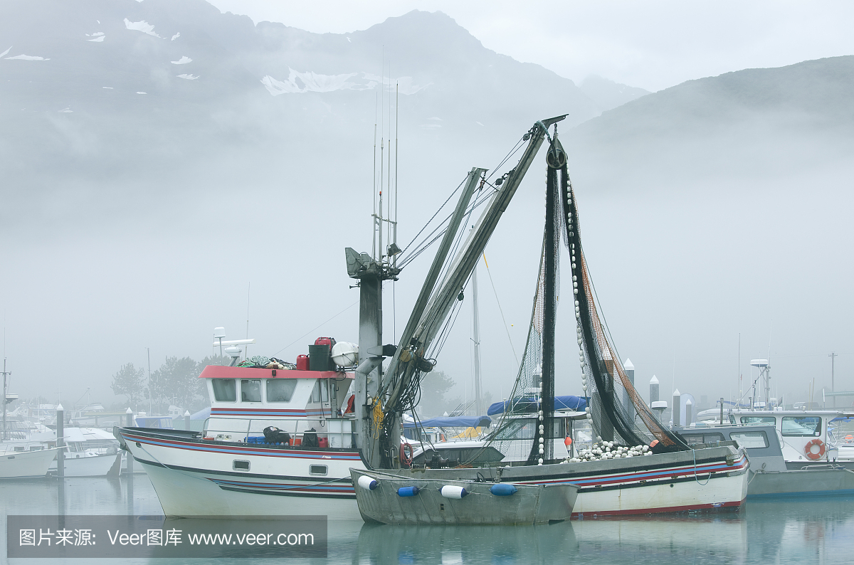 在多雾的瓦尔迪兹港,捕捞鲑鱼的渔船