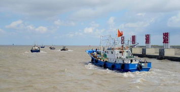江苏渔业第一市 仅为县级市,捕捞量达江苏三分之一却鲜为人知